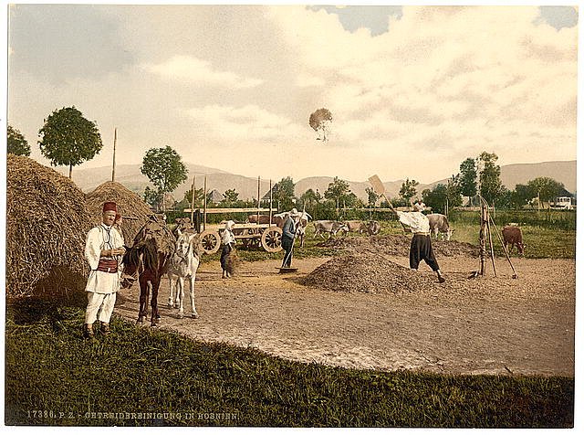 Farm scene Bosnia Vintage A4 Photo Print