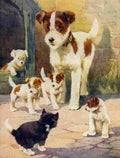 Favourite Animals c1928 Friend or Foe A4 Photo Print