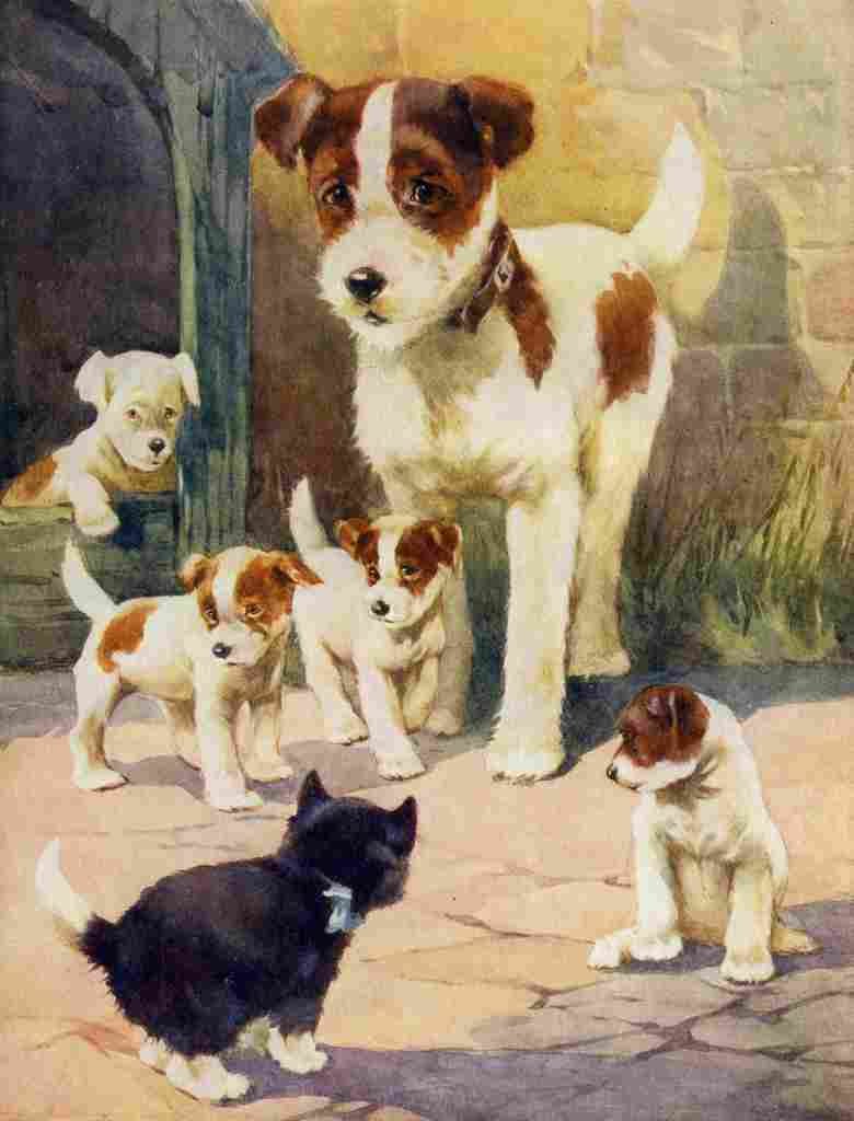 Favourite Animals c1928 Friend or Foe A4 Photo Print