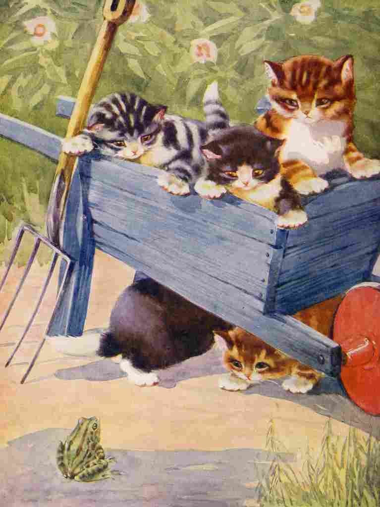 Favourite Animals c1928 Strange sight for kittens A4 Photo Print
