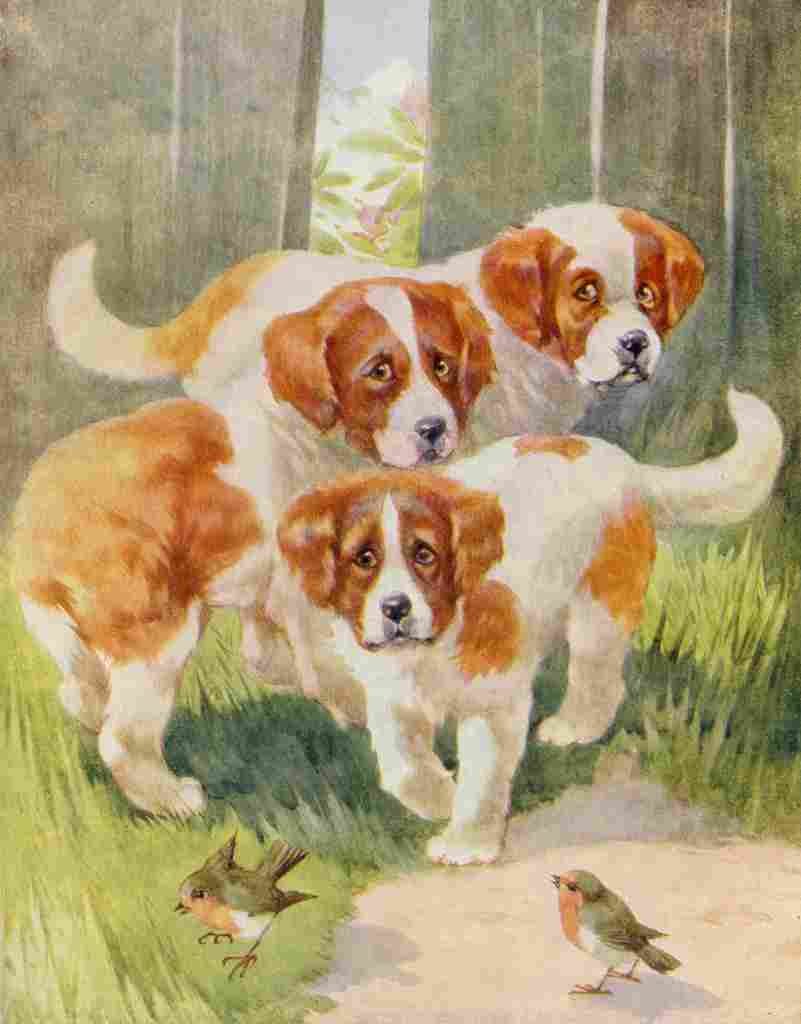 Favourite Animals c1928 Three puppies A4 Photo Print