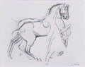 Ferdinand Hodler cavalryman striding a horse 1908 Art A4 Photo Print