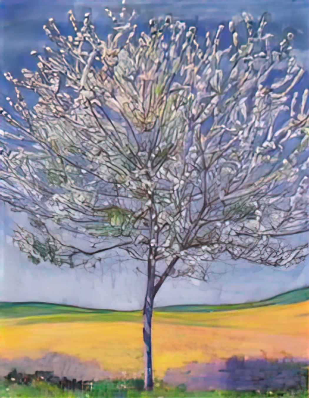 Ferdinand Hodler cherry tree in bloom 1905 Art A4 Photo Print