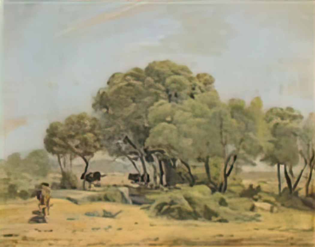 Ferdinand Hodler olive trees in spain 1878 Art A4 Photo Print