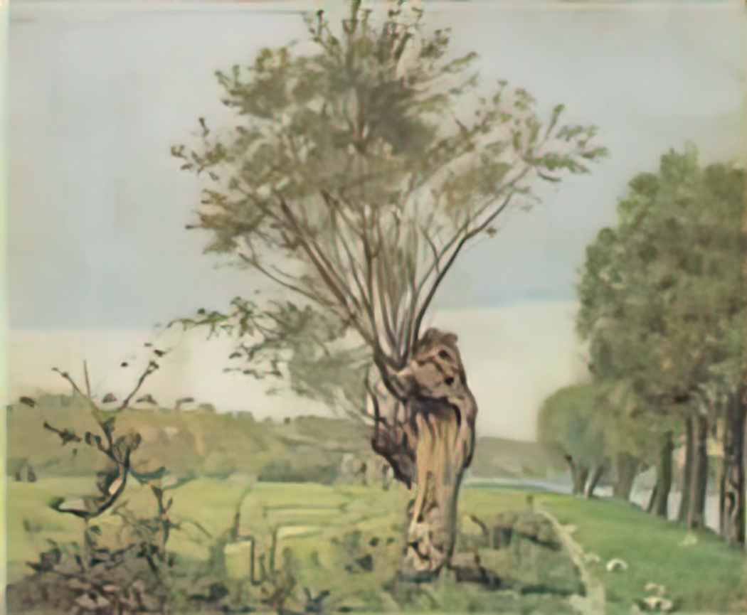 Ferdinand Hodler pastures at the jonction at geneva 1878 Art A4 Photo Print