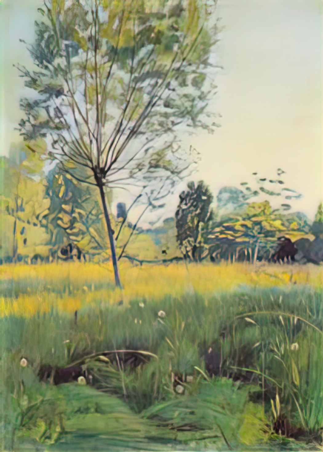 Ferdinand Hodler the golden meadow 1890 Art A4 Photo Print UK
