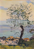 Ferdinand Hodler willow tree by the lake 1890 Art A4 Photo Print