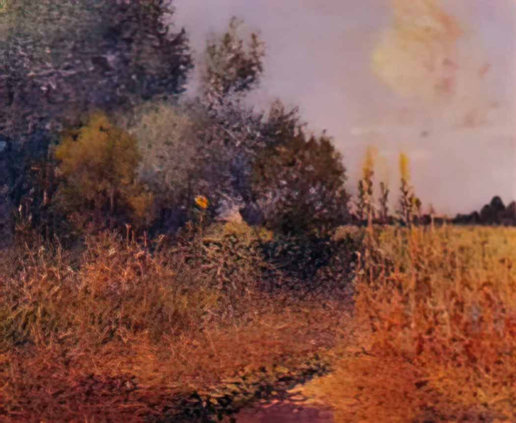 Ferdinand du Puigaudeau puigaudeau ferdinand du flower garden at kerv Art A4 Photo Print