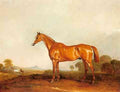 Ferneley Jr John A Golden Chestnut Hunter In A Landscape A4 Photo Print