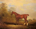 Ferneley Jr John Cecil A4 Photo Print
