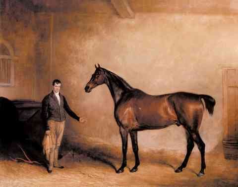 Ferneley Snr John E Mr C N Hoggs Claxton And A Groom In A Stable A4 Photo Print