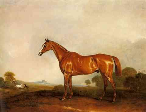 Ferneley Sr John E A Chestnut Hunter In A Landscape A4 Photo Print