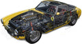 Ferrari 250 GT SWB cutaway A4 Photo Print