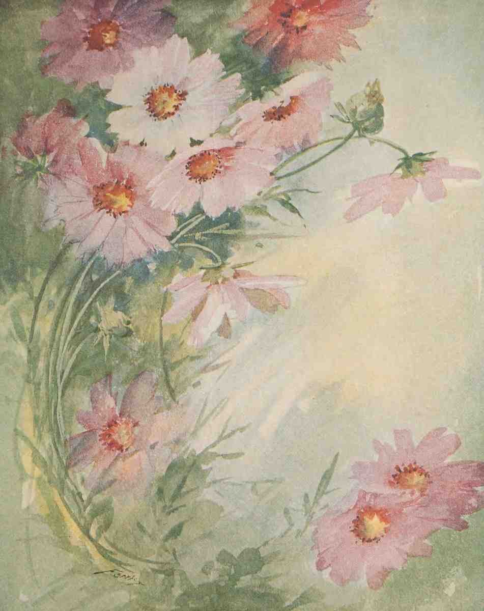 Ferris Ida M b1860 Keramic Studio 1899 1920 Cosmos A4 Photo Print