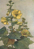 Fewsmith Mary H Yellow Hollyhocks A4 Photo Print