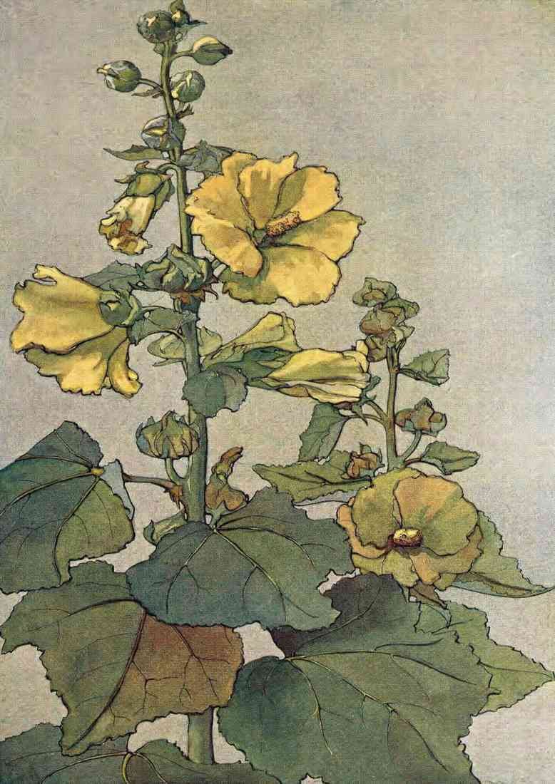 Fewsmith Mary H Yellow Hollyhocks A4 Photo Print