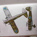 Fiat CR42 J11Italy F9 Wing Swedish Air Force 1941 A4 Photo Print