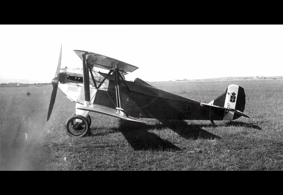 Fiat Cr1 Biplane Fighter Italy A4 Photo Print