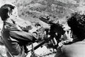 Fiat Revelli Model 1935 Machine Gun A4 Photo Print
