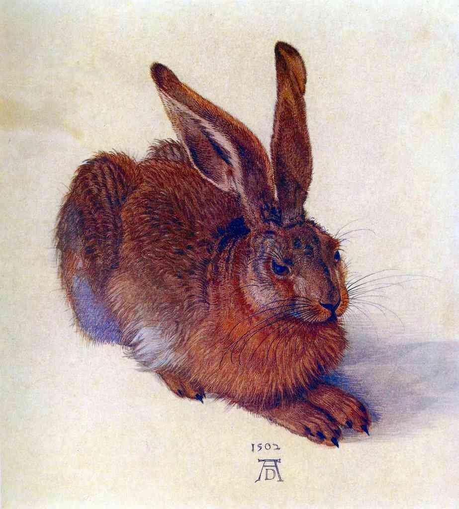 Field Hare Durer A4 Photo Print