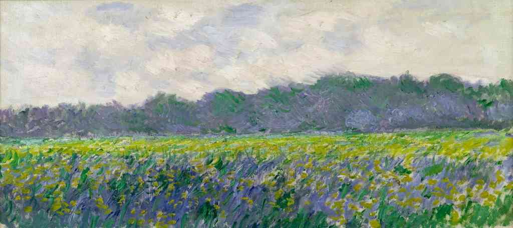 Field Of Yellow Irises Monet A4 Photo Print
