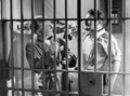 Fields WC Man on the Flying Trapeze 2 film star poster A4 Photo Print