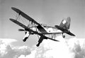 Fieseler Fi167 Torpedo Bomber Biplane Germany A4 Photo Print