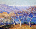 Fig Trees Antibes 1910 A4 Photo Print
