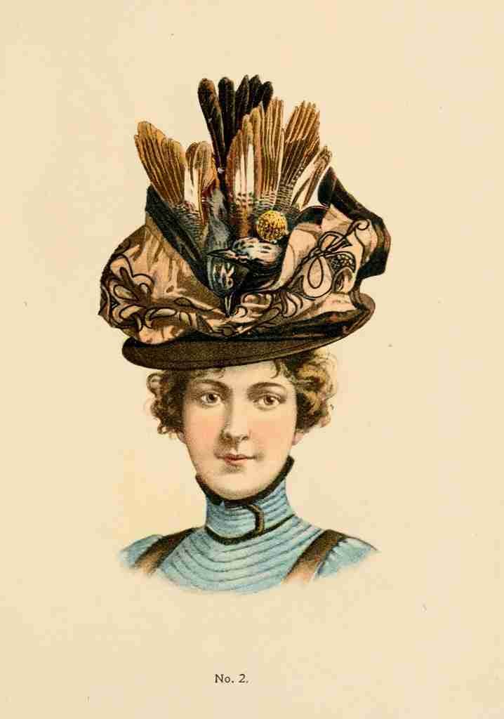 Fine Millinery 1899 3 A4 Photo Print