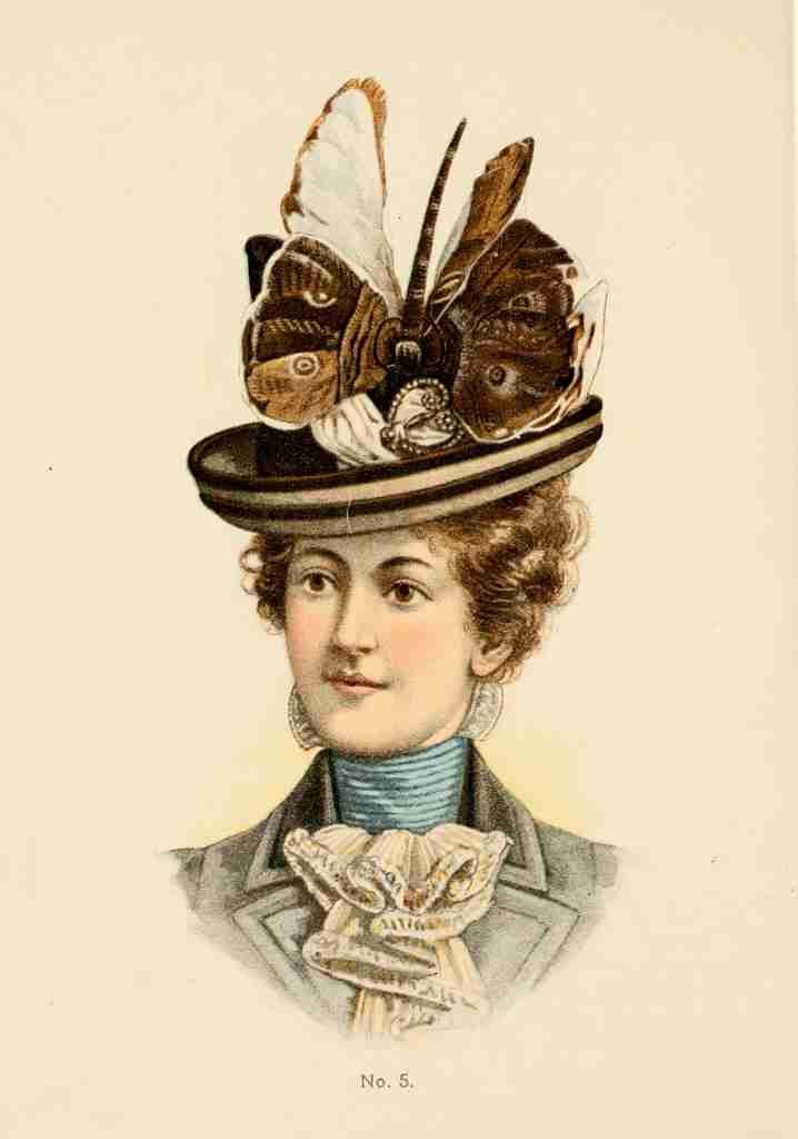 Fine Millinery 1899 5 A4 Photo Print