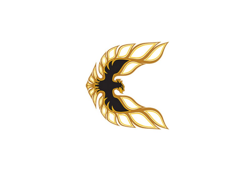 Firebird 1977 A4 Photo Print