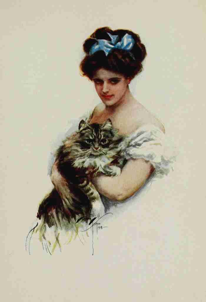 Fisher Harrison 1912 Cat A4 Photo Print