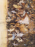 Fitzgerald John Anster 1819 1906 Rabbit amongst the fairies A4 Photo Print
