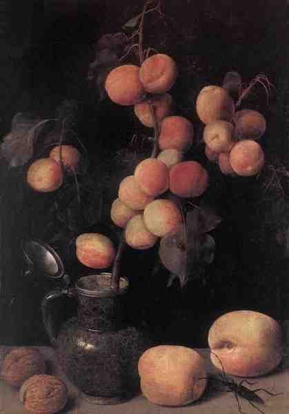 Flegel Georg Peaches A4 Photo Print