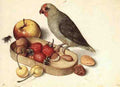 Flegel Georg Still Life With Pygmy Parrot A4 Photo Print