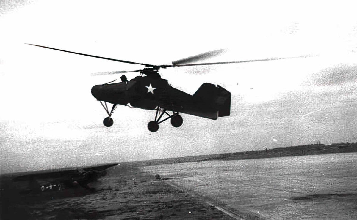 Flettner Fl282 Kolibri A4 Photo Print