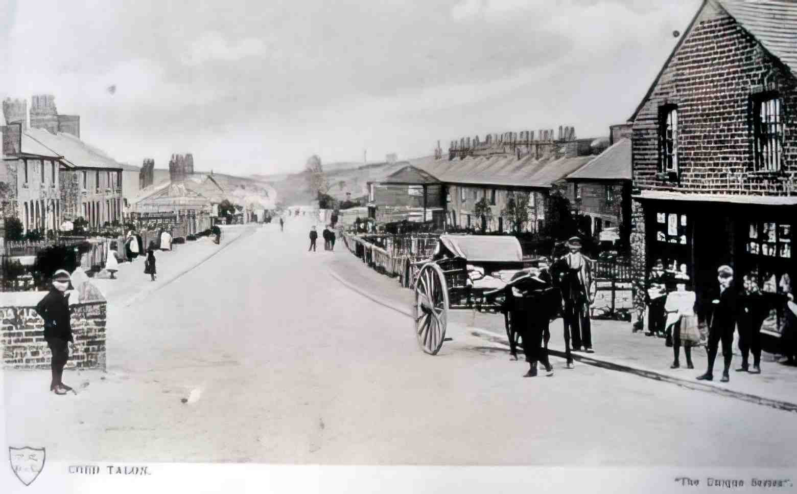Flintshire Coed Talon II Vintage A4 Photo Print