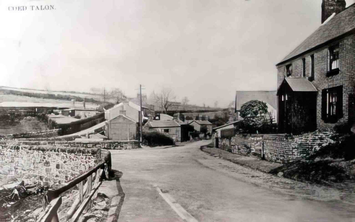 Flintshire Coed Talon Vintage A4 Photo Print