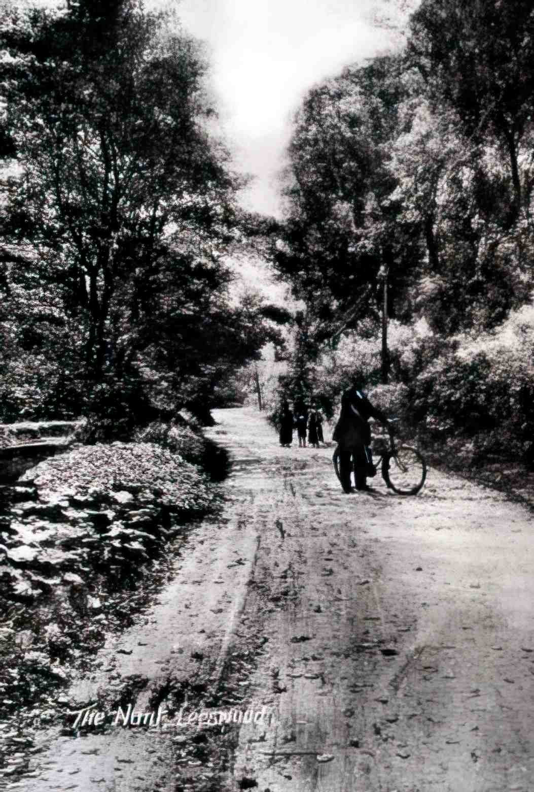 Flintshire Leeswood The Nant Vintage A4 Photo Print