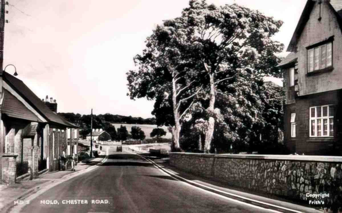 Flintshire Mold Chester Road Vintage A4 Photo Print
