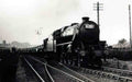 Flintshire Mold Jones Balers Special Train Vintage A4 Photo Print