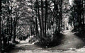 Flintshire Pantasaph The Path to Calvary Vintage A4 Photo Print
