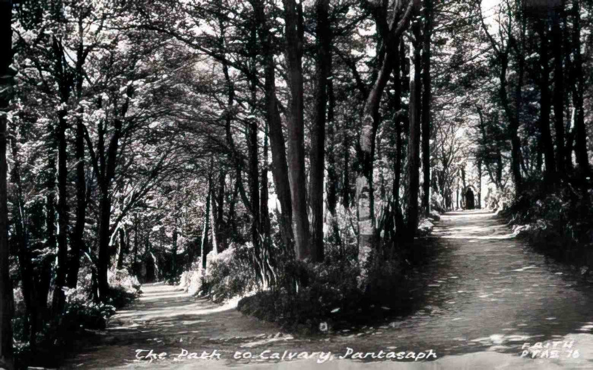 Flintshire Pantasaph The Path to Calvary Vintage A4 Photo Print