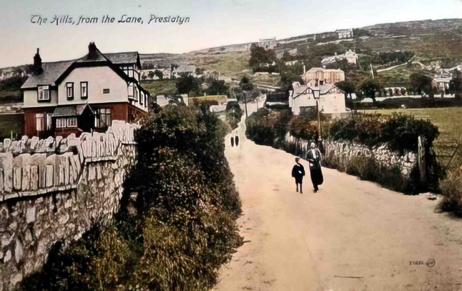 Flintshire Prestatyn The Hills from the Lane Vintage A4 Photo Print