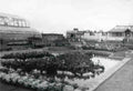 Flintshire Rhyl Gardens 1962 Vintage A4 Photo Print