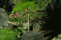 Florida cross tropical rock A4 Photo Print