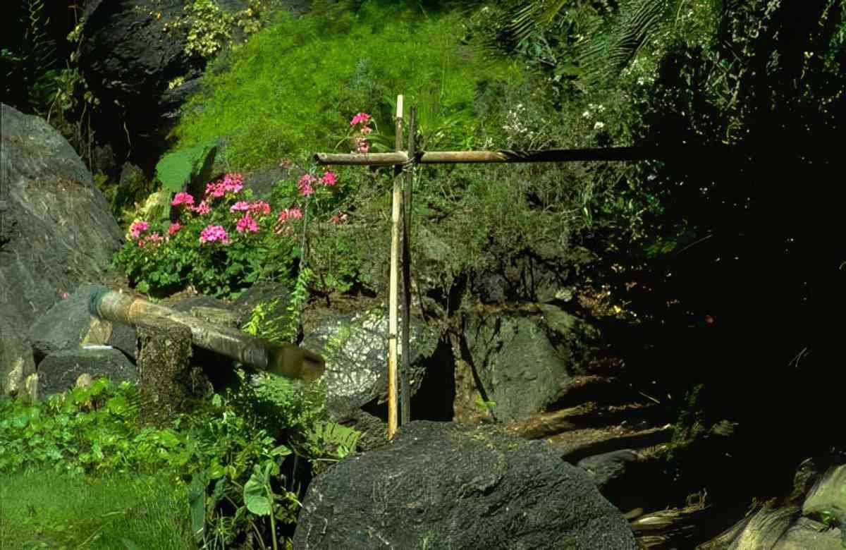 Florida cross tropical rock A4 Photo Print