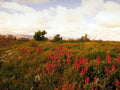 Flower wildflower meadow mountains GIGA 4