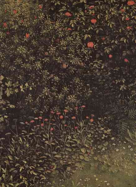 Flowering shrubs and plants by Jan Van Eyck A4 Photo Print