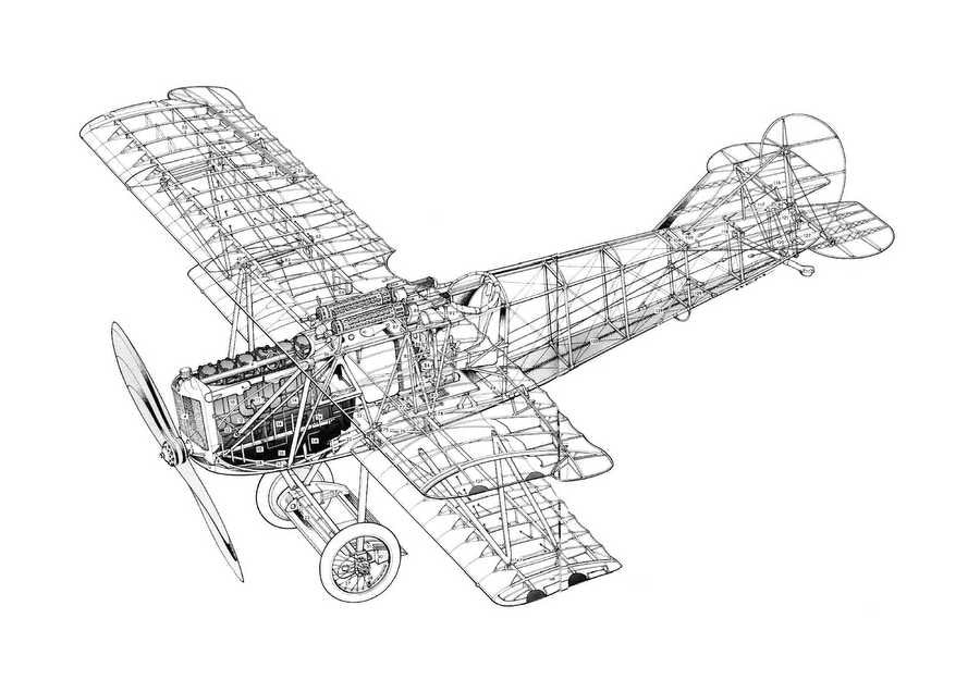Fokker DVII cutaway A4 Photo Print
